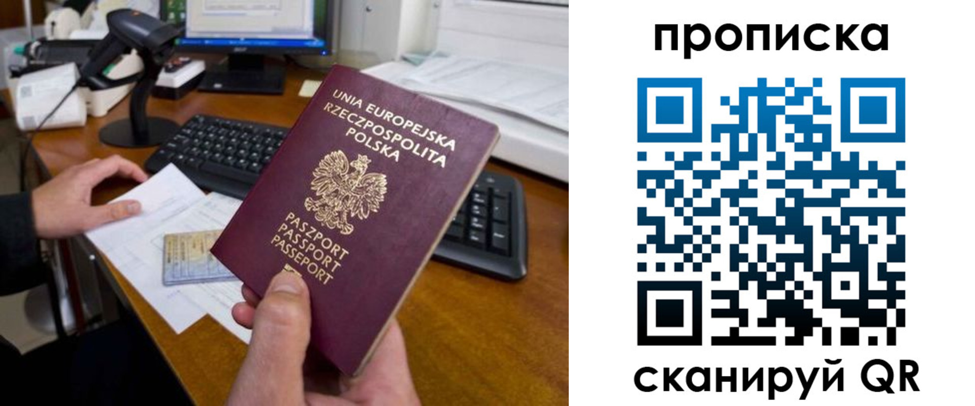 прописка для школы в Старом Осколе